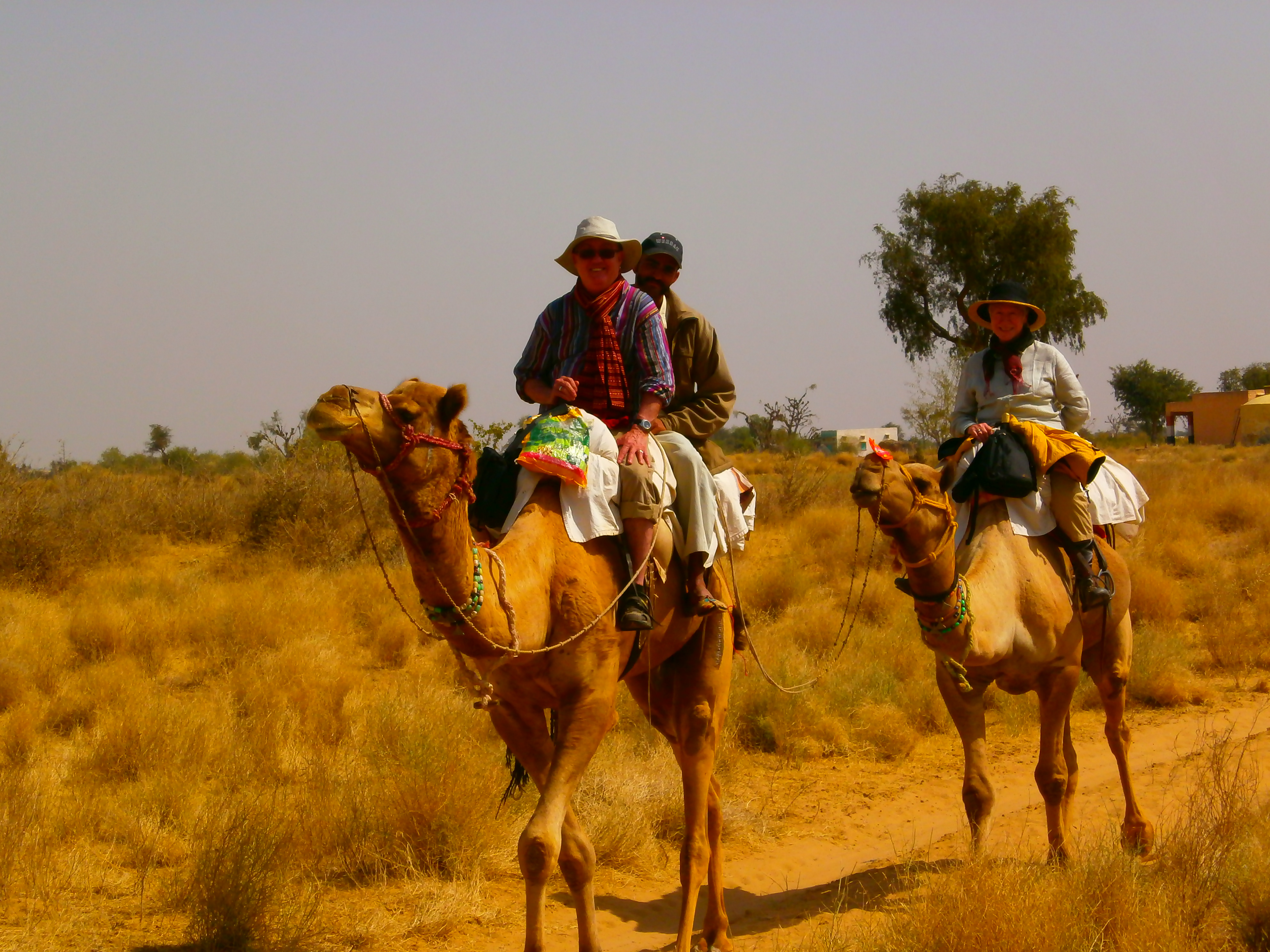 day tour of sand dunes from Jaisalmer, Rajasthan